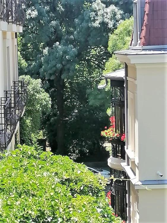 Portofino *